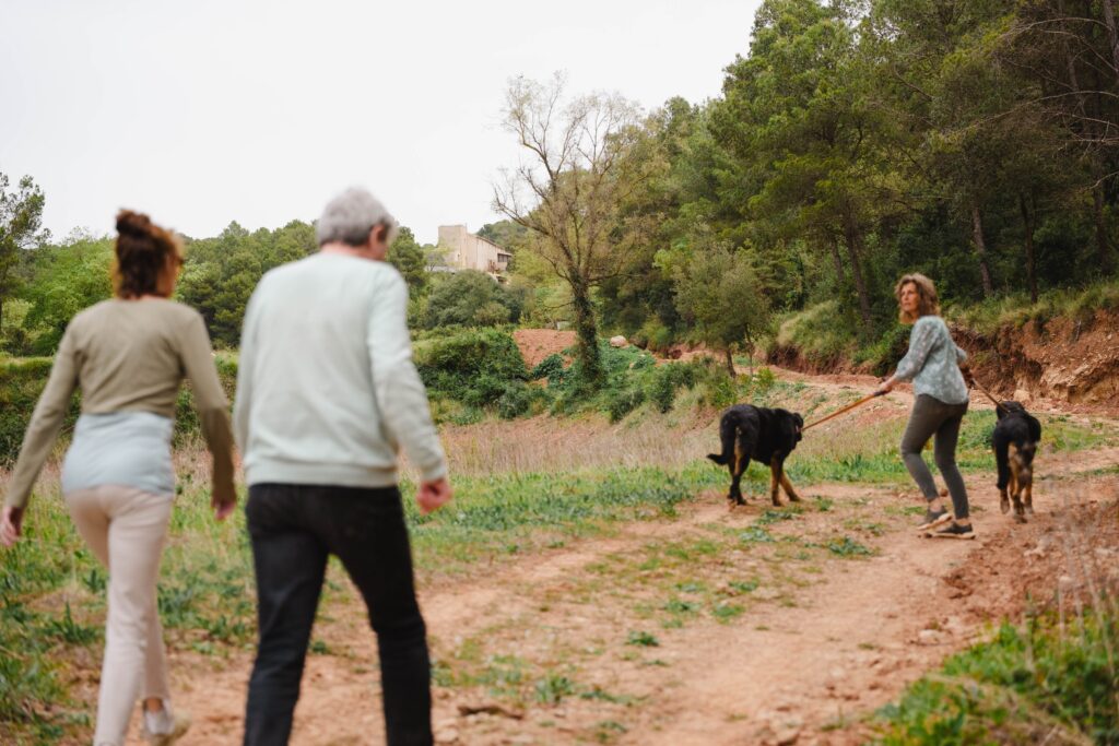Animals — Torres de Selma