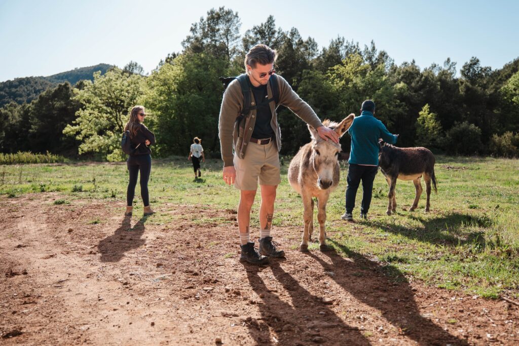 Animals — Torres de Selma