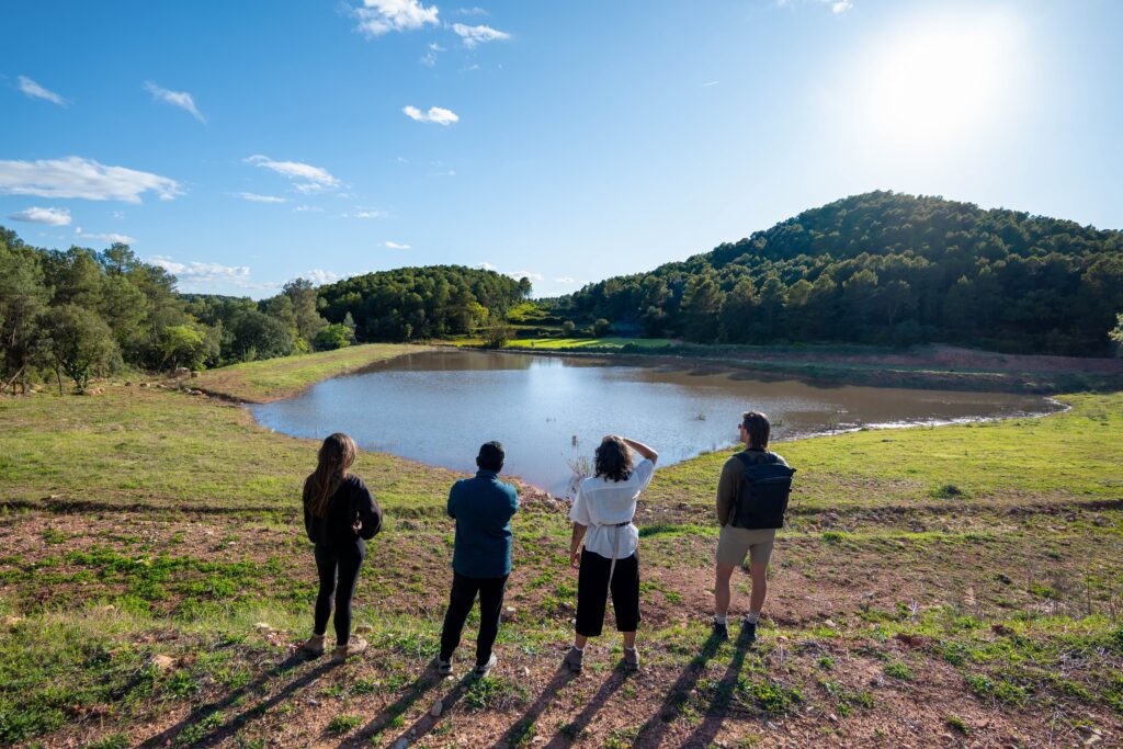 Activities — Torres de Selma